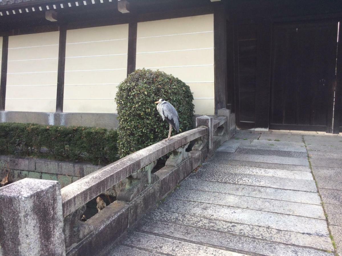 京都市五条ivyアパートメント エクステリア 写真